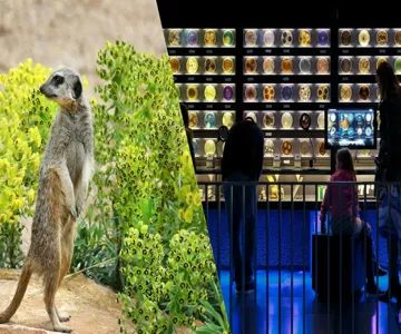 ARTIS Amsterdam Royal Zoo & Micropia: Skip The Line Entry Ticket